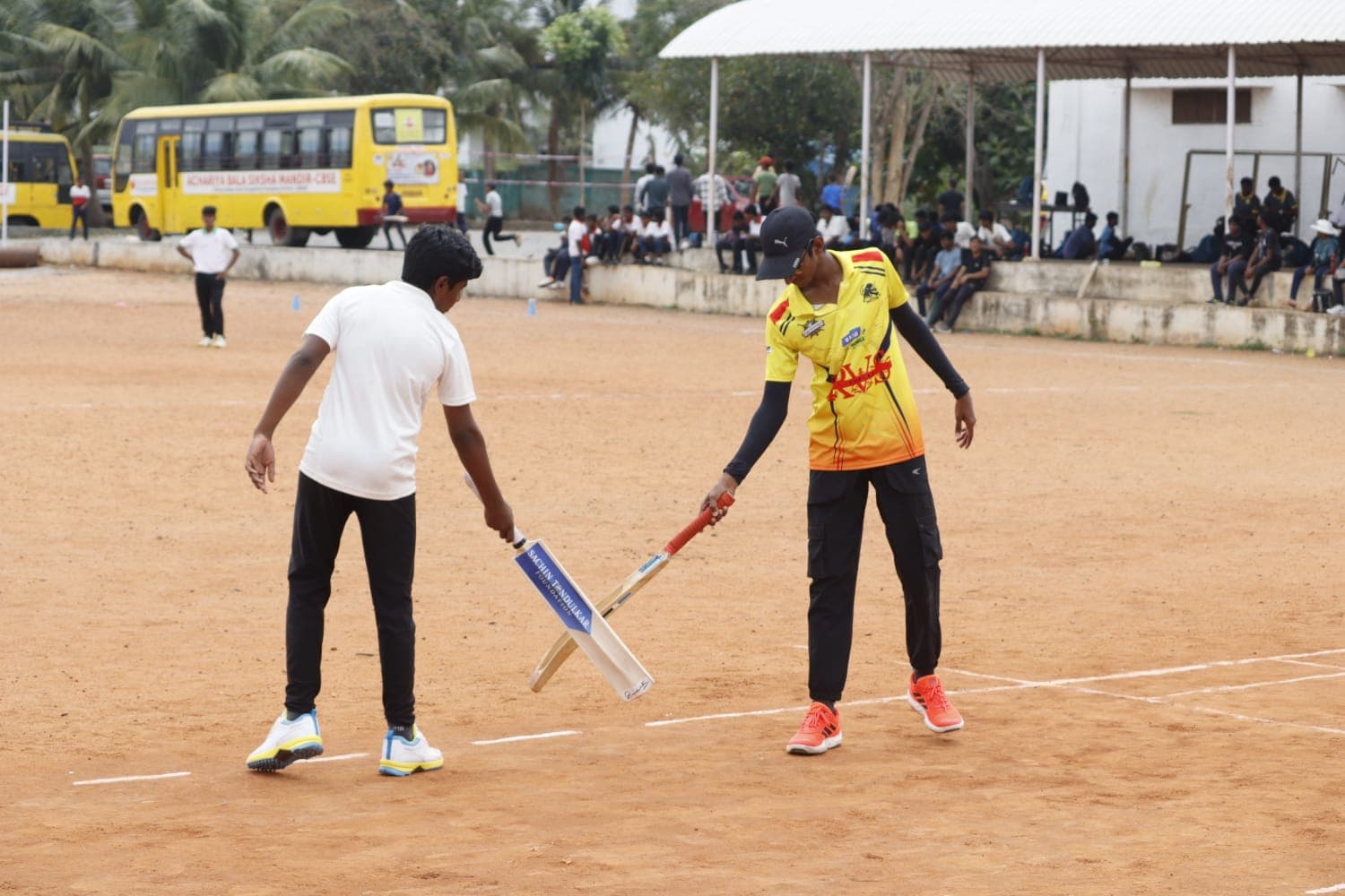 Cricket