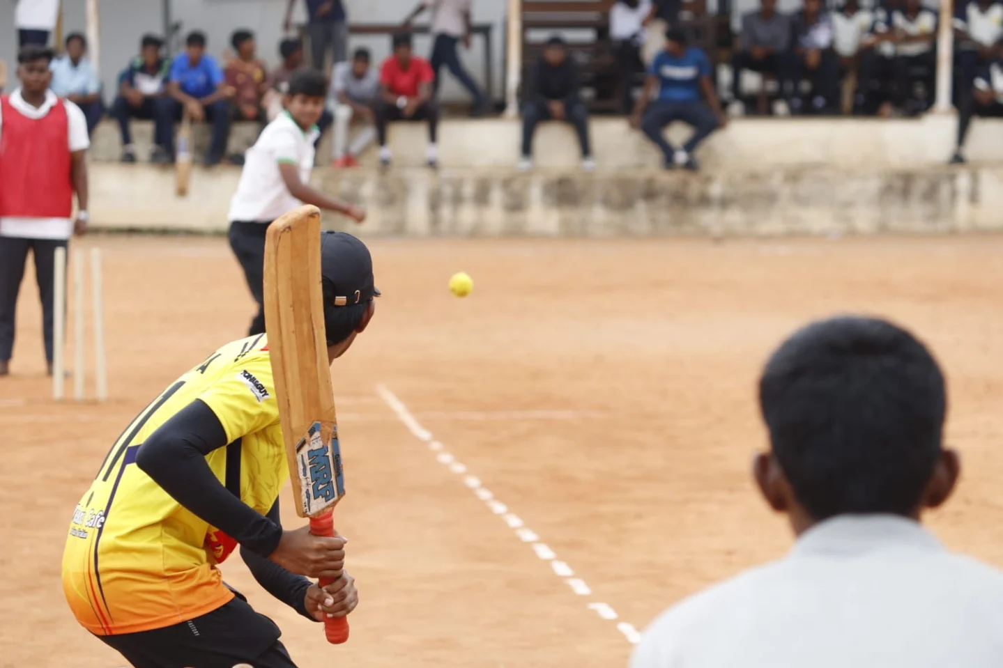 Cricket